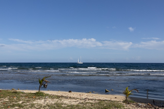 2024_02_12-18_Roatan,_Honduras