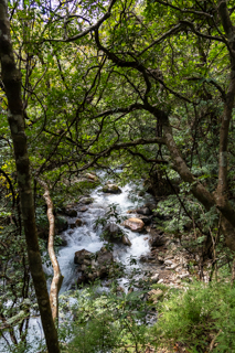 2025_02_11_Parque_Nacional_Rincon_de_la_Vieja,_Costa_Rica