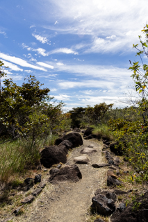 2025_02_11_Parque_Nacional_Rincon_de_la_Vieja,_Costa_Rica