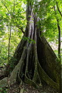 2025_02_11_Parque_Nacional_Rincon_de_la_Vieja,_Costa_Rica