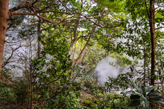 2025_02_11_Parque_Nacional_Rincon_de_la_Vieja,_Costa_Rica
