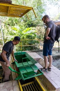 2025_02_13_Diria_Coffe_Plantation,_Costa_Rica