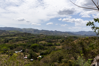 2025_02_13_Diria_Coffe_Plantation,_Costa_Rica