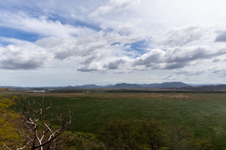 2025_02_15_Parque_Nacional_Palo_Verde