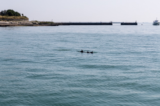 2025_06_30-07_02_La_Rochelle,_France